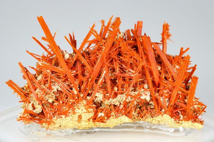 Bright Orange Crocoite Crystal Cluster - Tasmania #182739